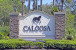 13909 Deer Creek Drive Photo