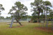 13909 Deer Creek Drive Photo