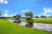 278 Barbados Drive Photo