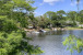 4885 SE Heartleaf Terrace Photo