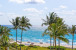 1000 S Ocean Boulevard #308 Photo