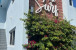 2307 N Surf Rd Photo