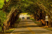 8335 SE Palm Street Photo