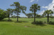 13970 Cross Pointe Court Photo