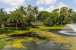 9036 Sand Pine Lane Photo