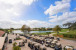 9036 Sand Pine Lane Photo