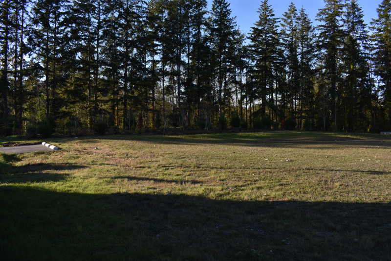 DSC_0044 (1)