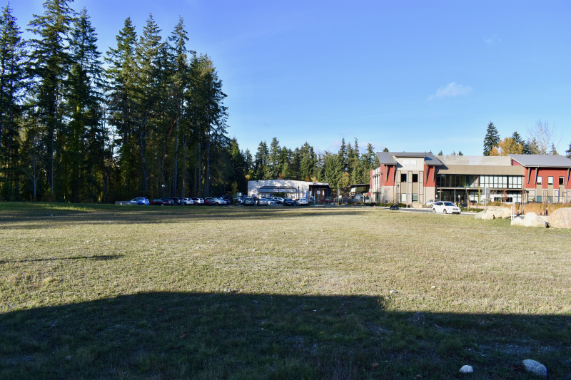 DSC_0045 (1)