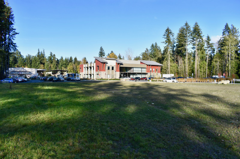 DSC_0018 (1)