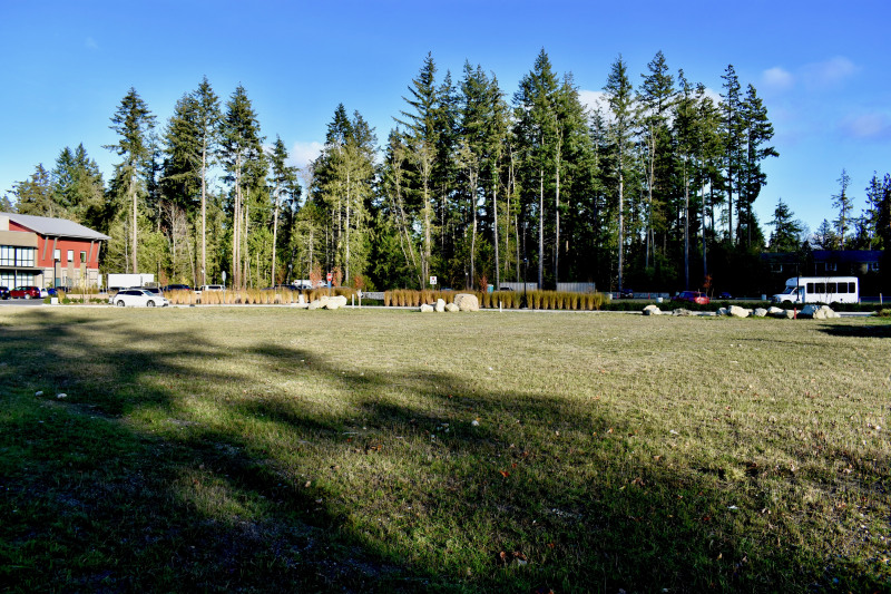 DSC_0019 (1)