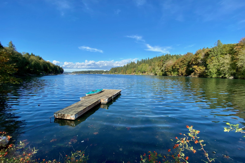 147 feet of private shoreline with a floating dock!