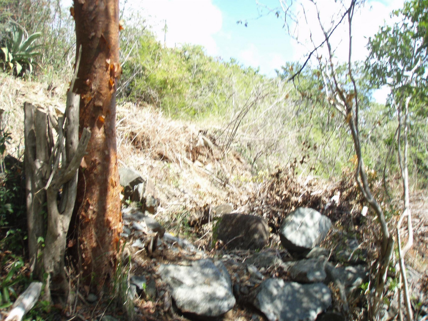 1-u-3-c Bethany, St. John, USVI 00830, MLS# 18-176 ...