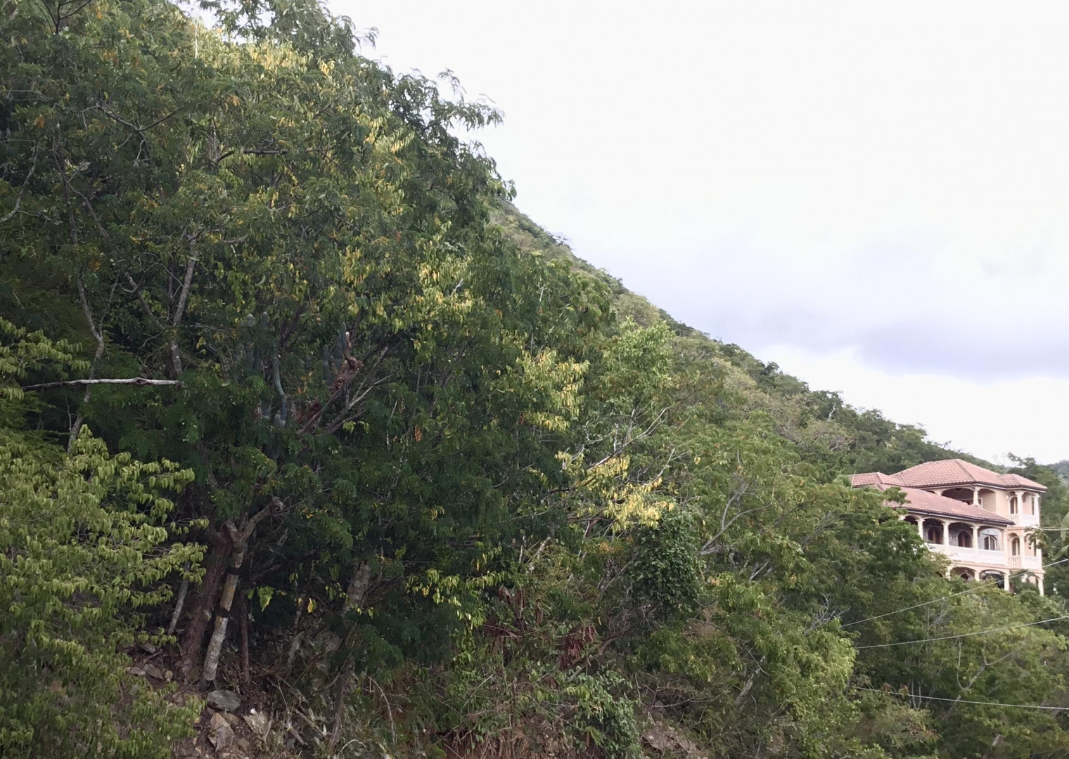 81 Fish Bay, St. John, USVI 00830, MLS 2421 Sea Glass Properties
