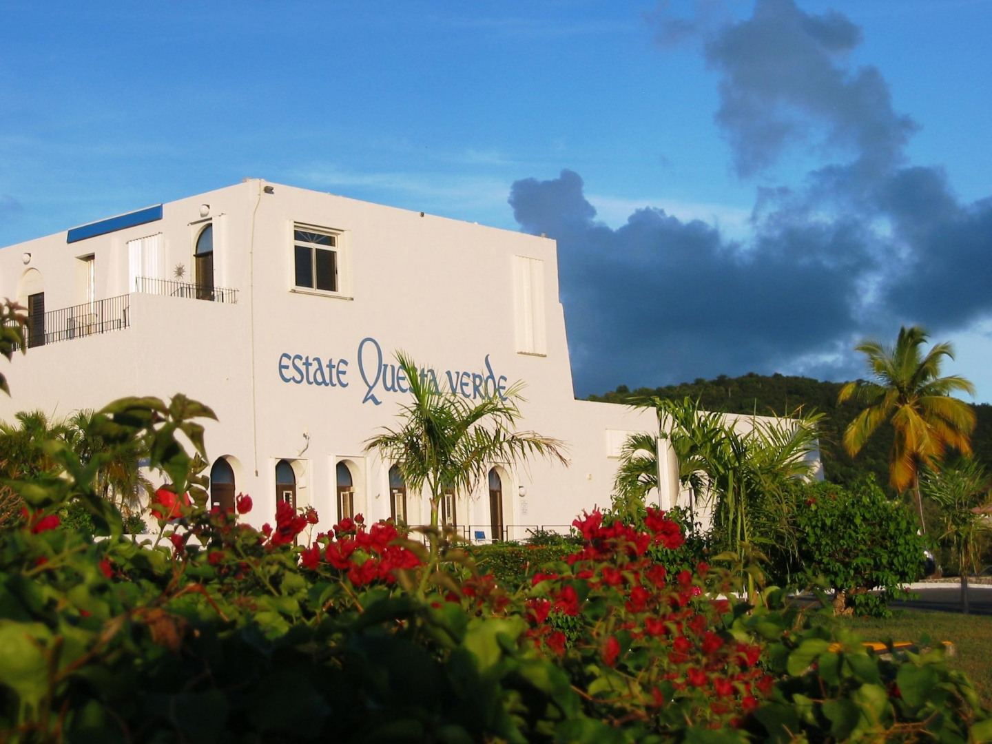 questa verde st croix