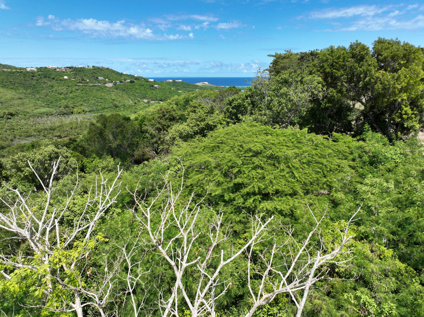 Rem 6 Montpellier Qu