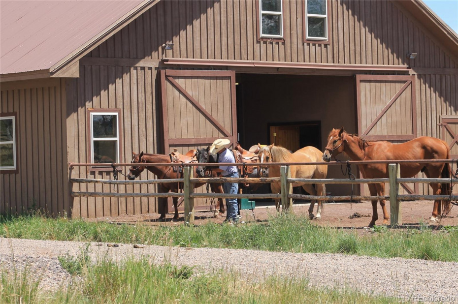 Fully staffed barn with horses for owners and guests