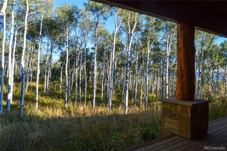 The cabin is tucked in an aspen grove