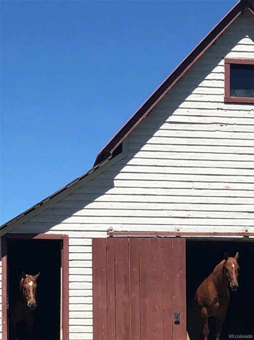 The dairy barn provides comfortable shelter for horses