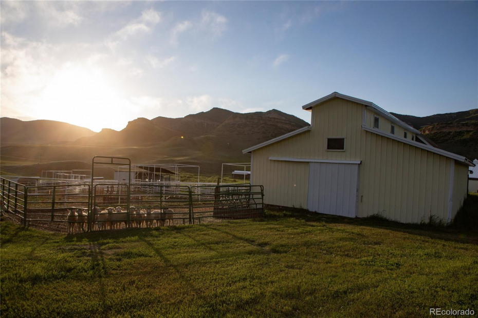Calving and livestock barns designed for function