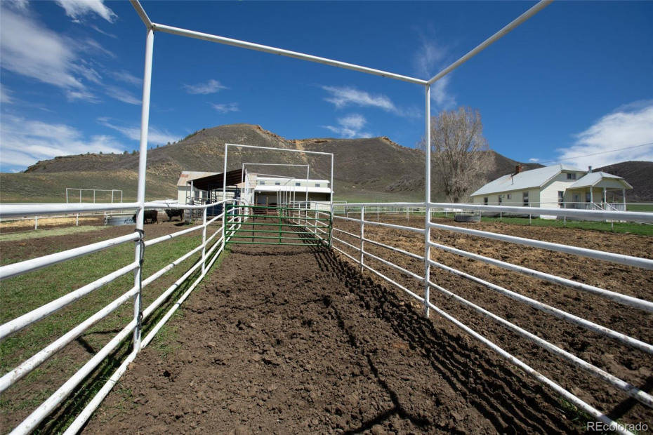 Pipe corrals with pens and scale