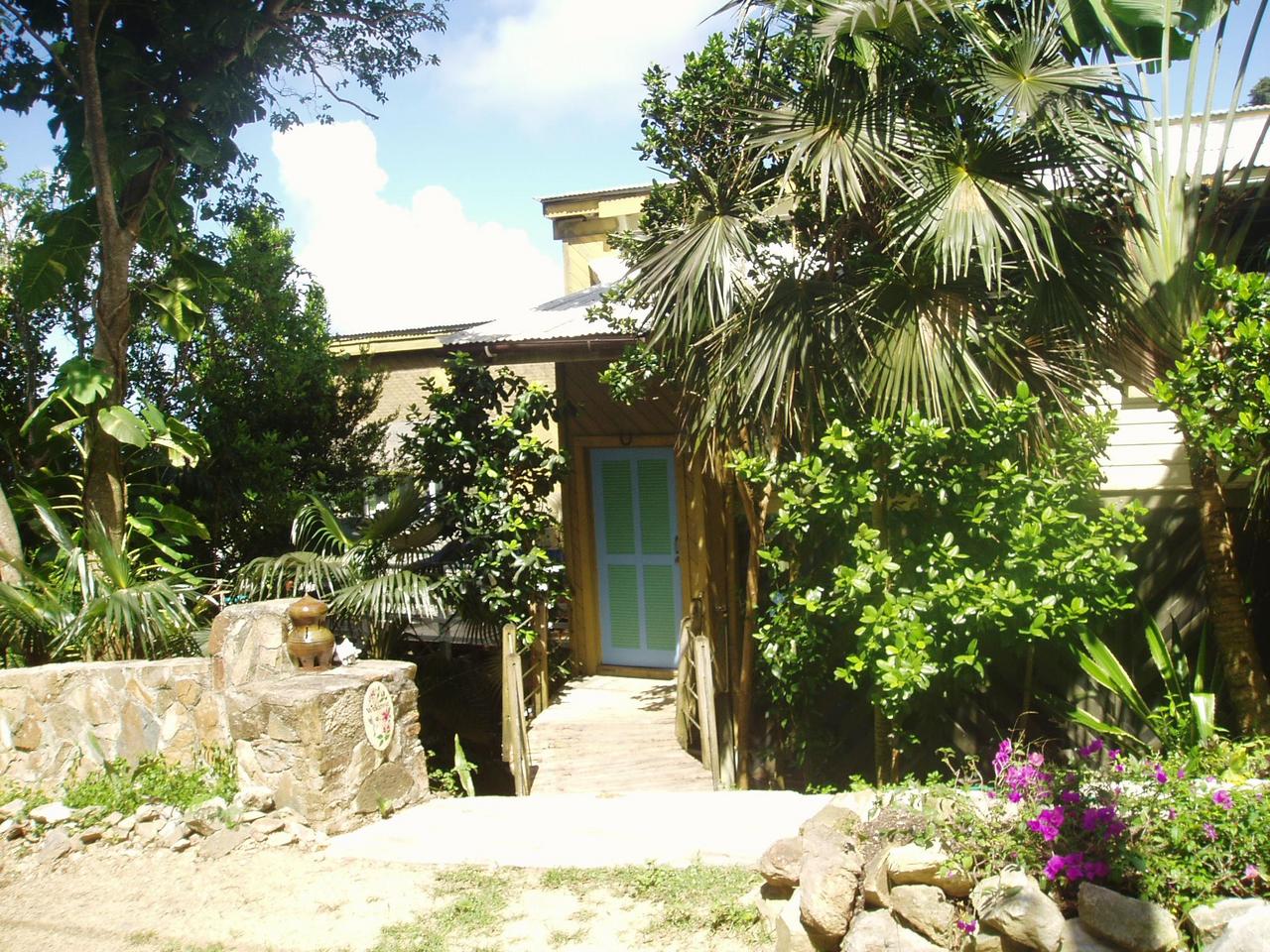 Image 4