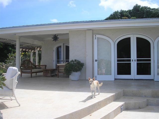 Image 4