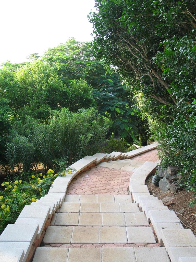 Image 10