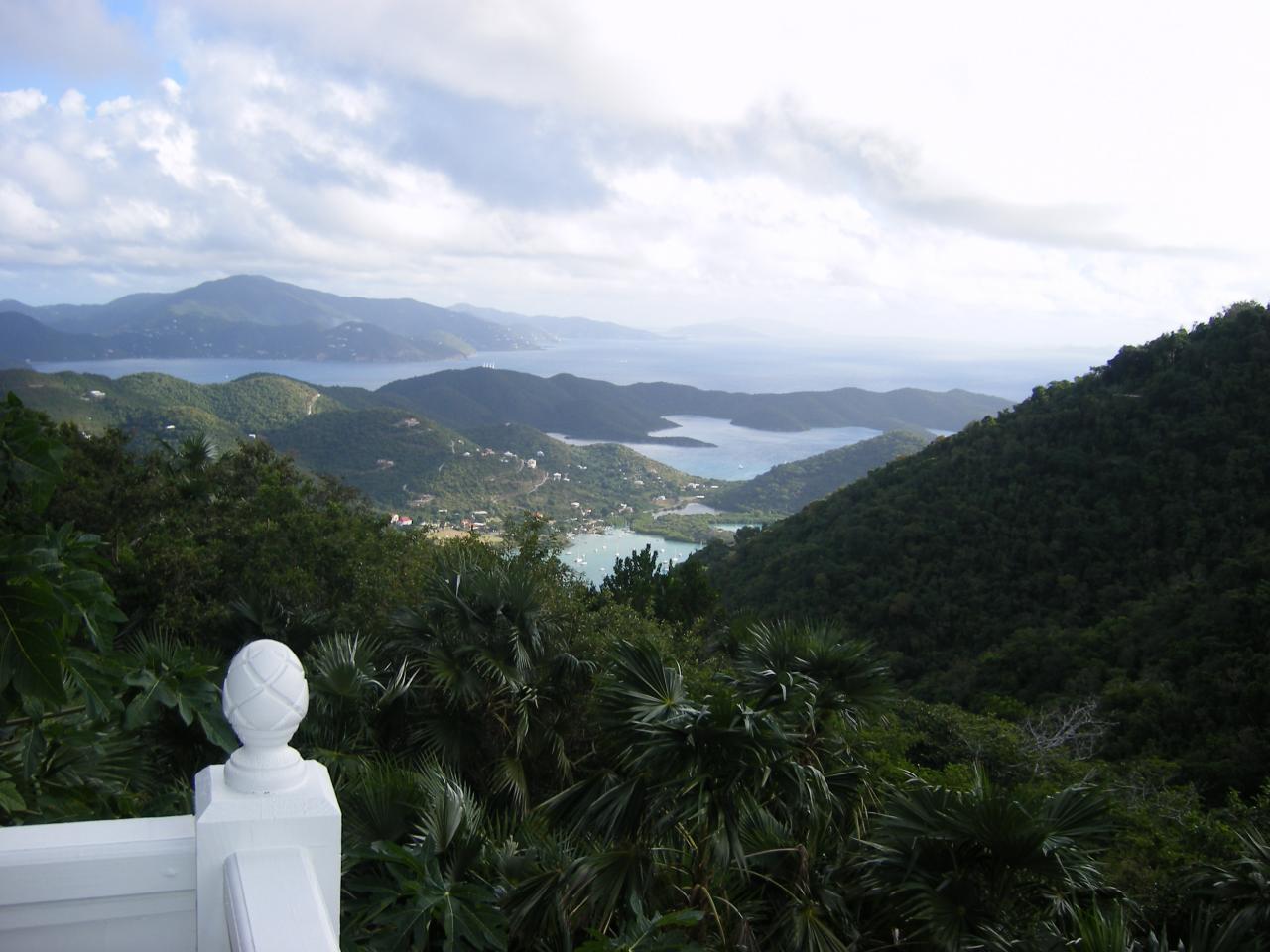 Image 15