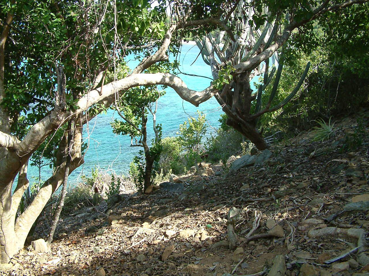 Image 6