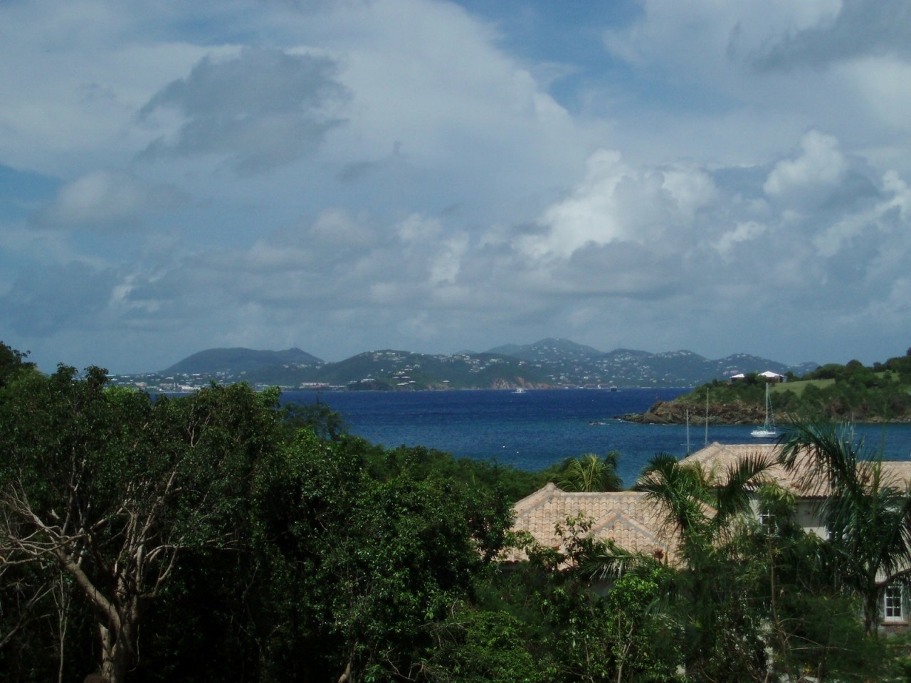 Image 12