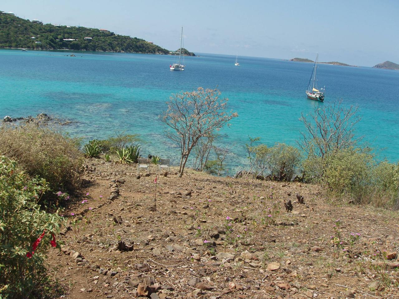 Image 7