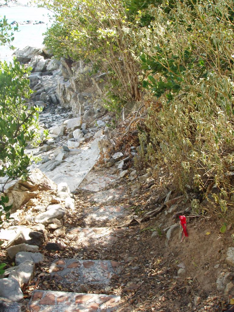 Image 10