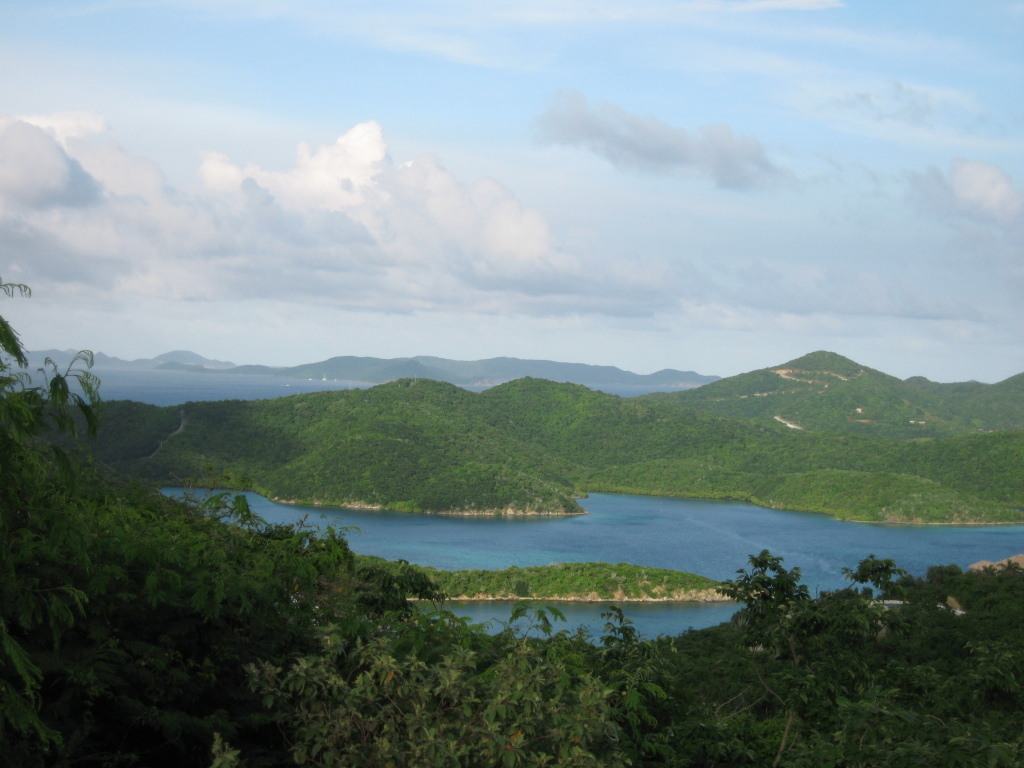 Image 6