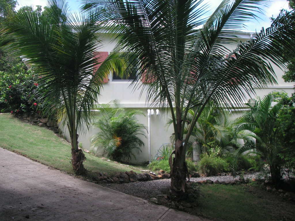 Image 11