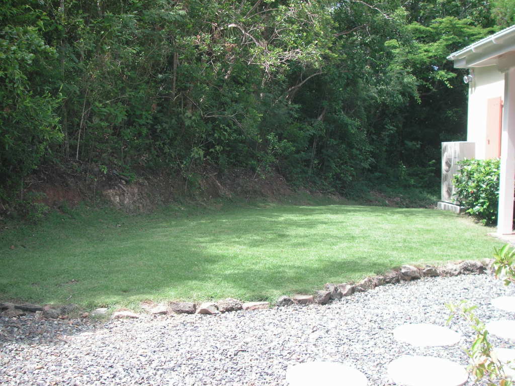 Image 20