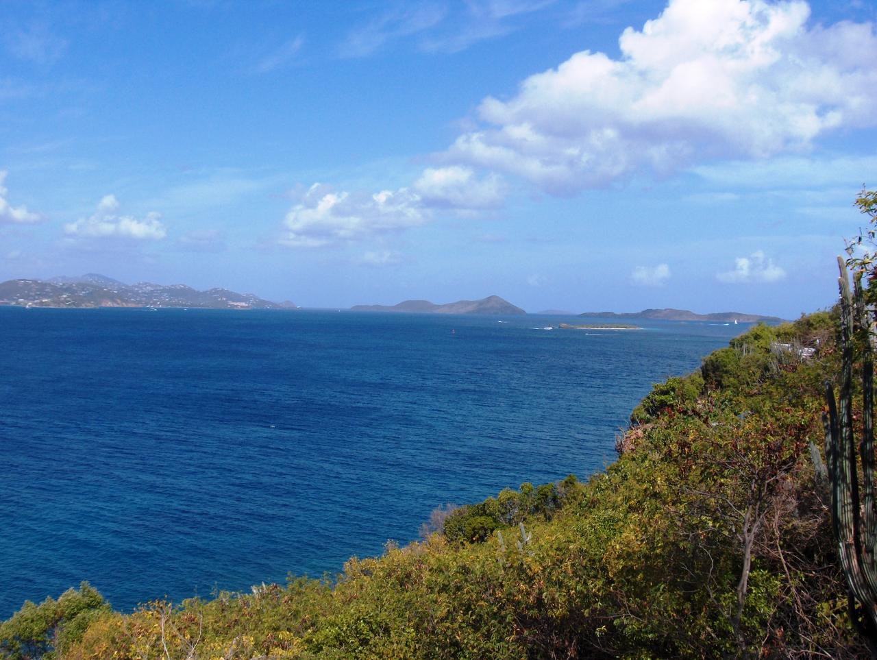 Image 11