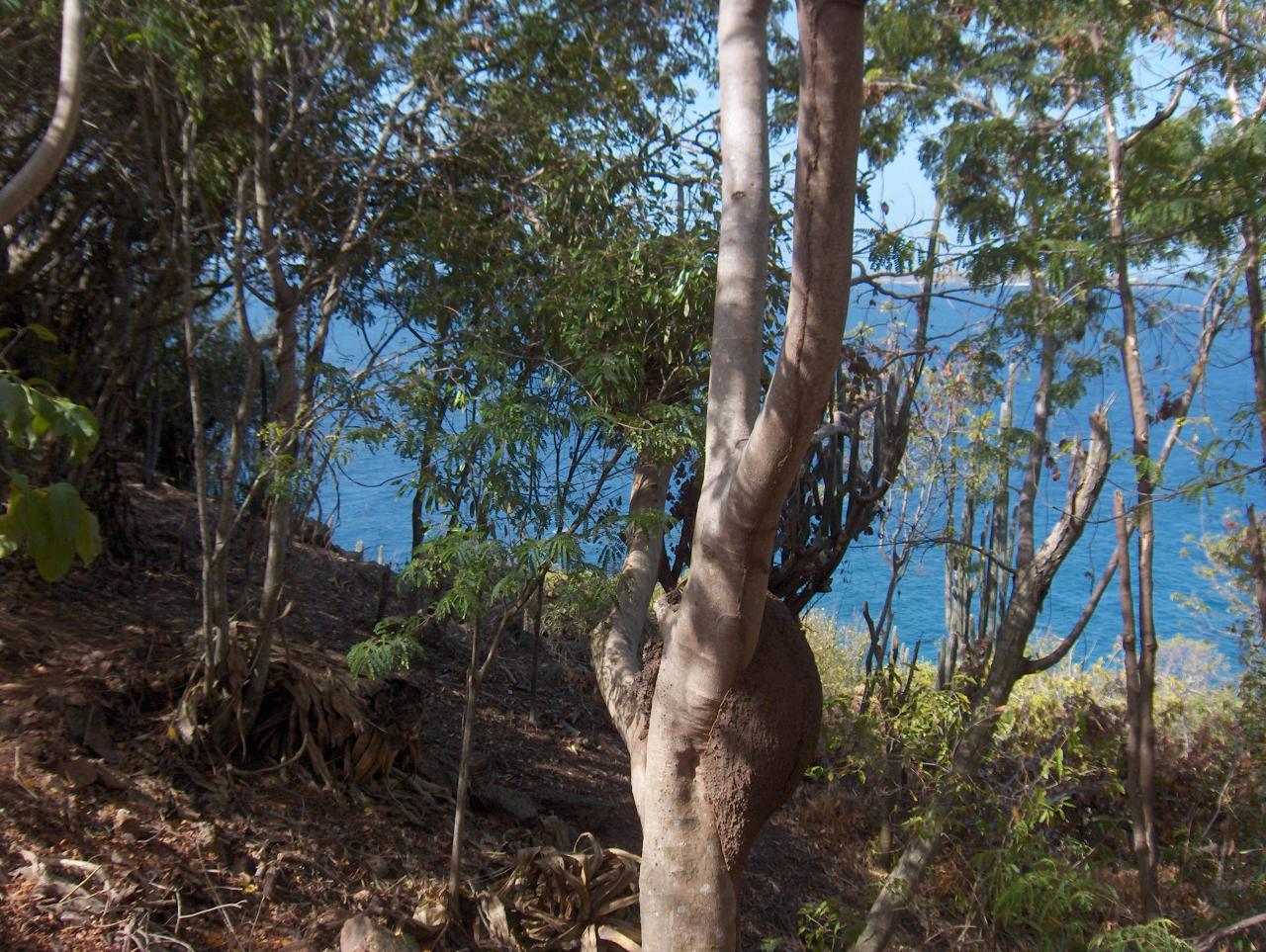 Image 13