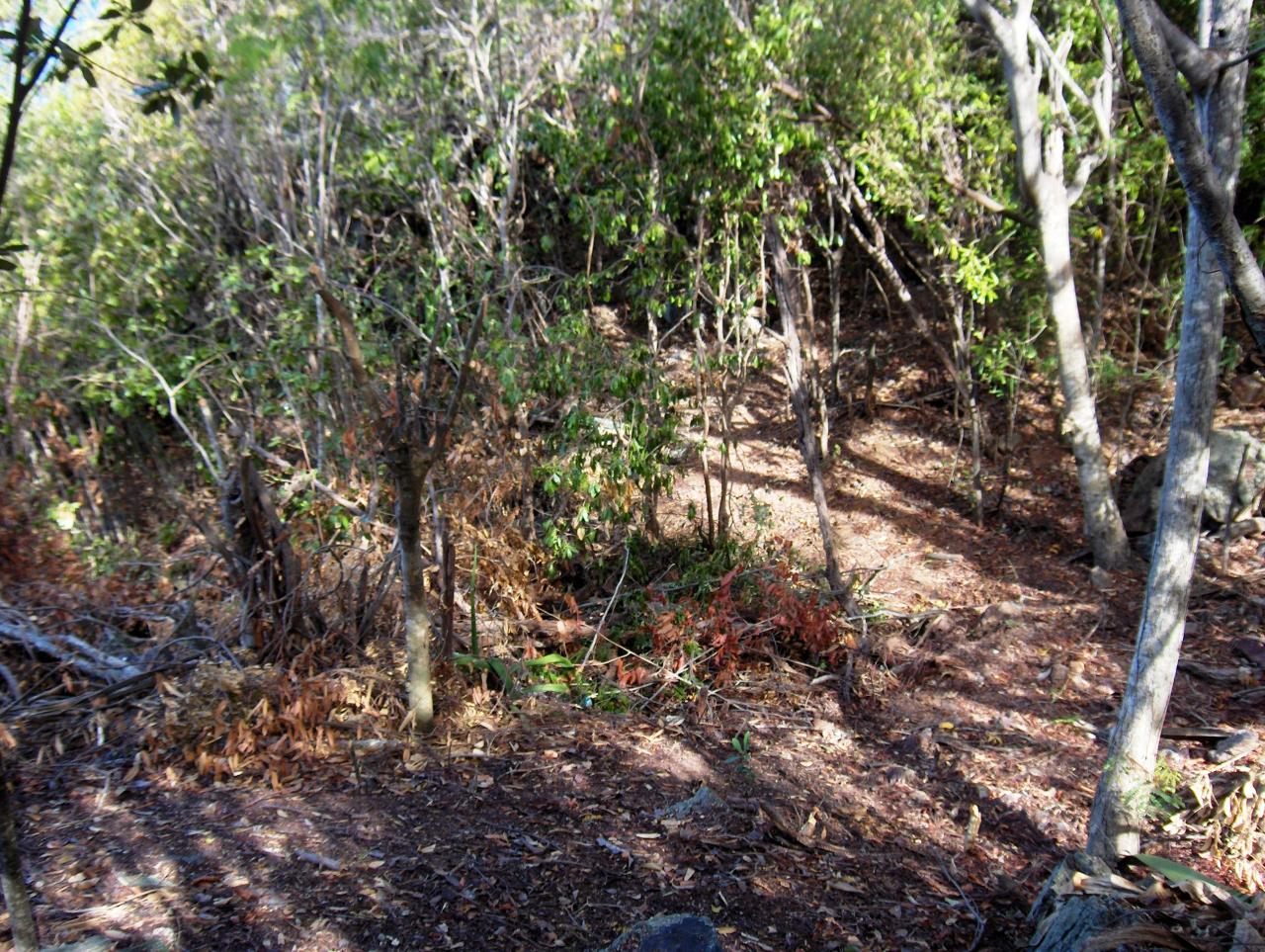 Image 15