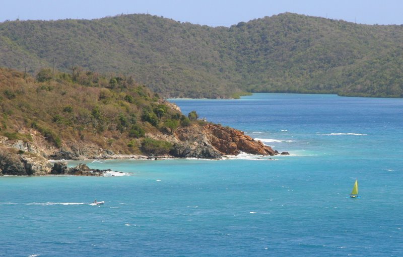 Image 11