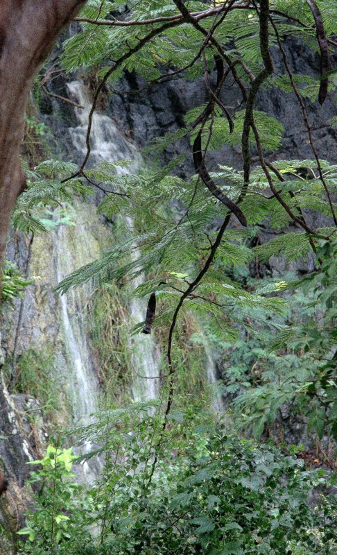 Image 36