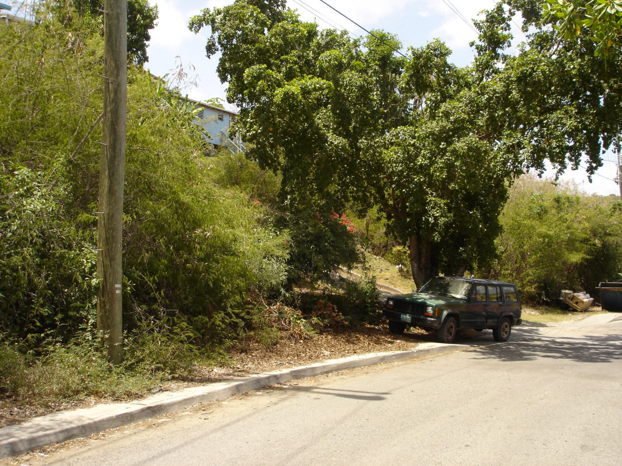 Image 6