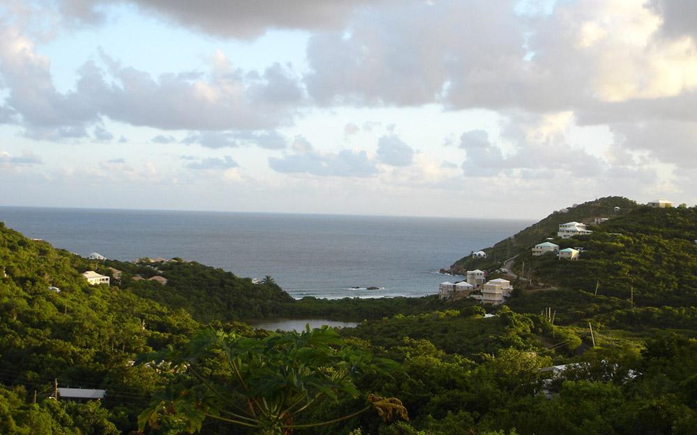 Image 6
