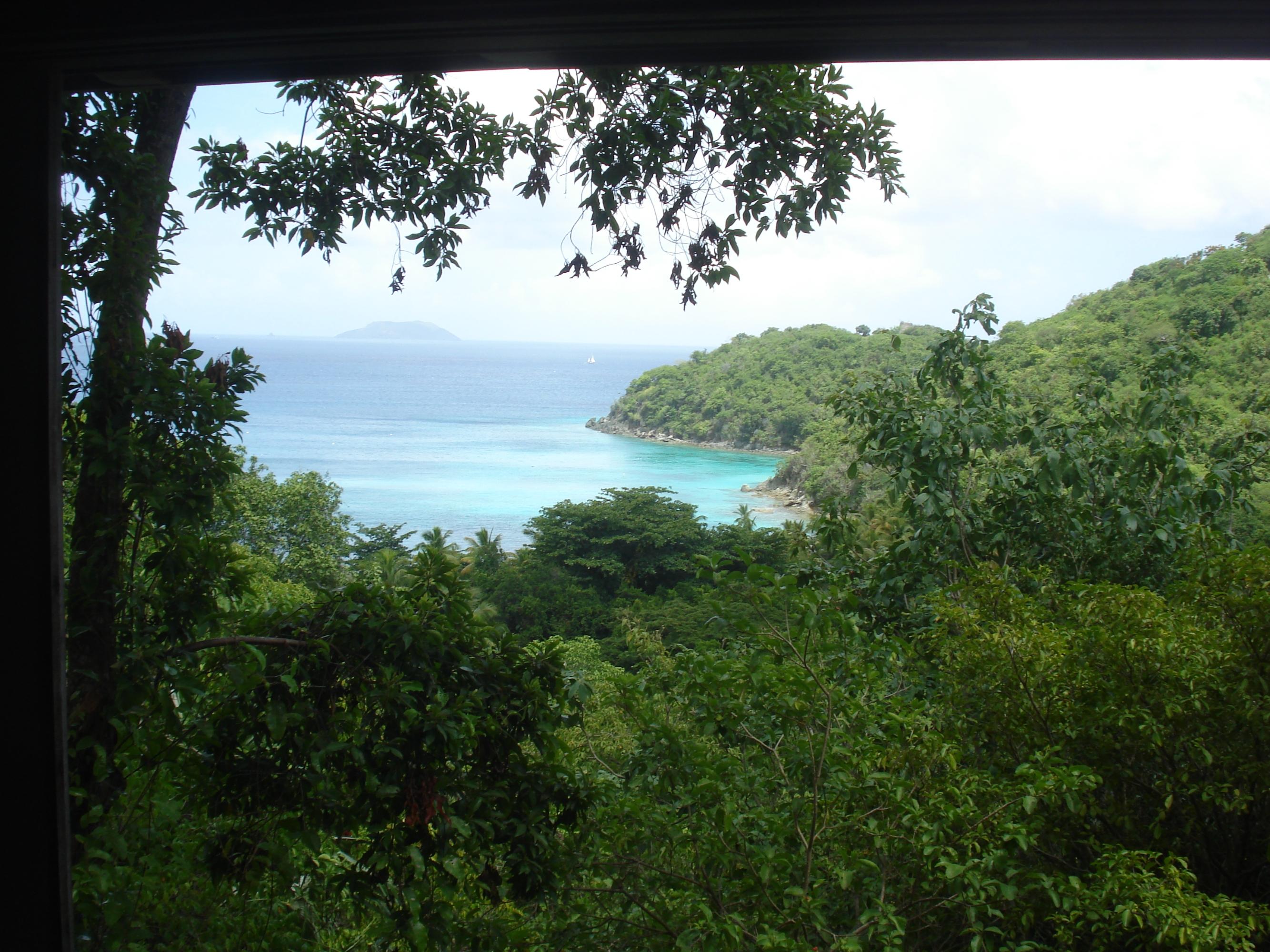 Image 11