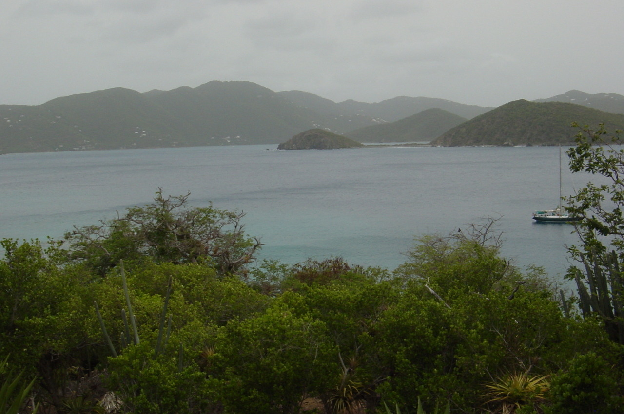 Image 11