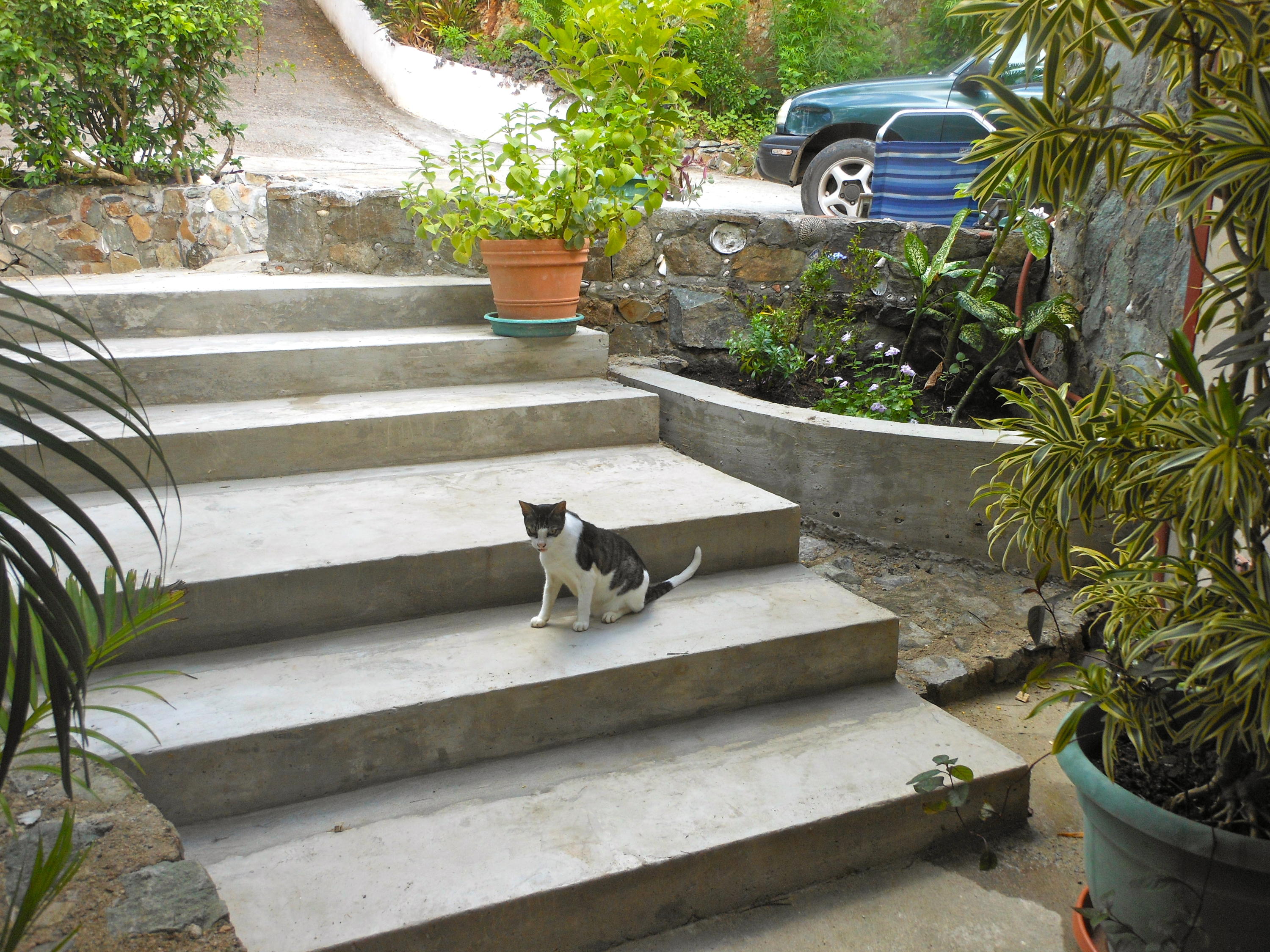 Image 6