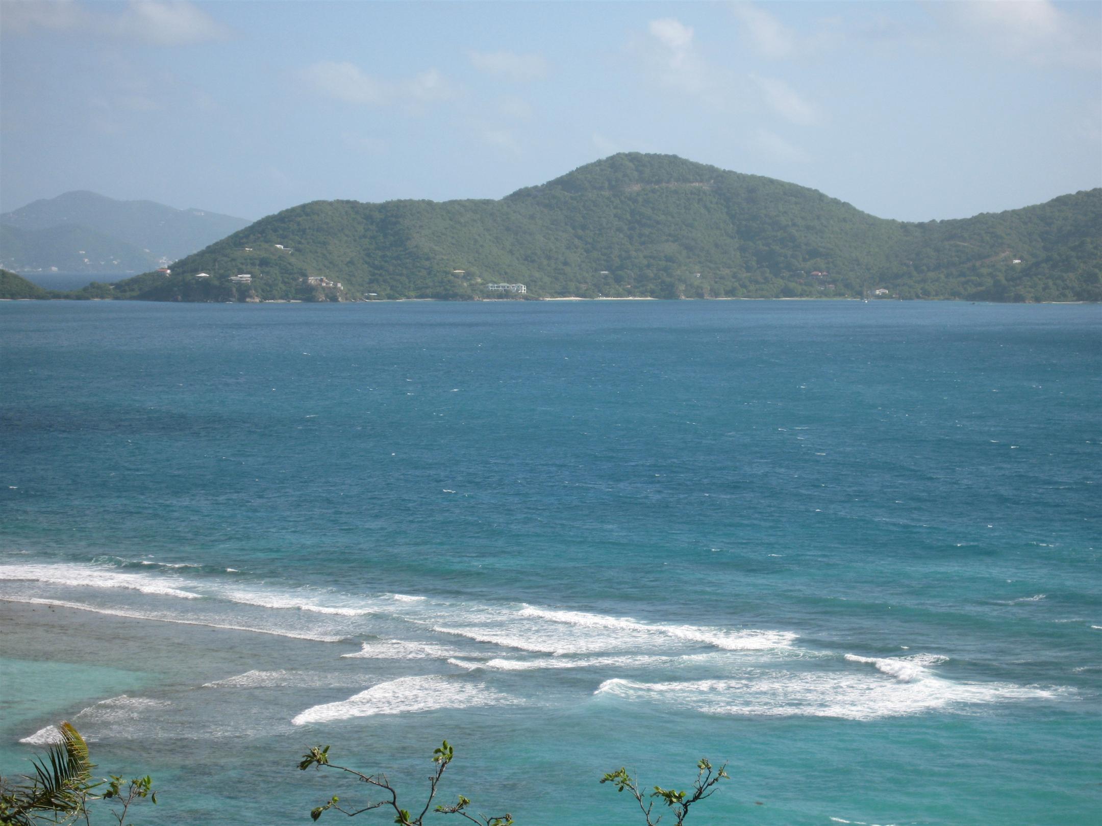Image 6