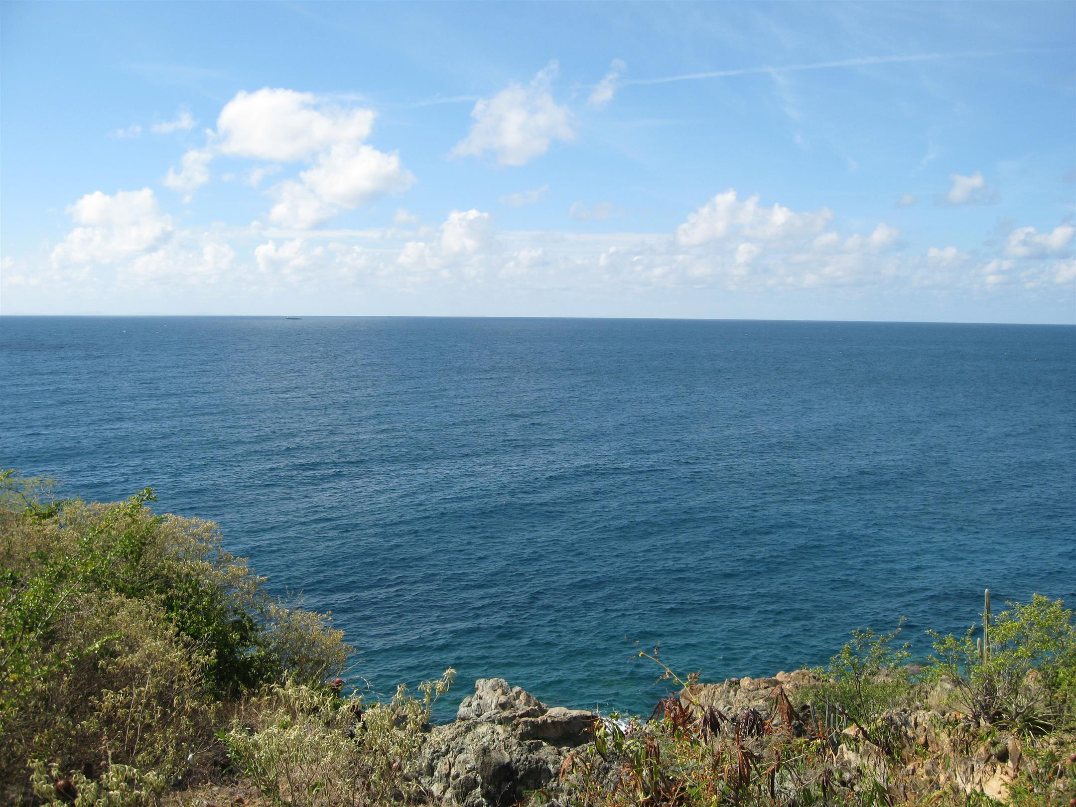 Image 8