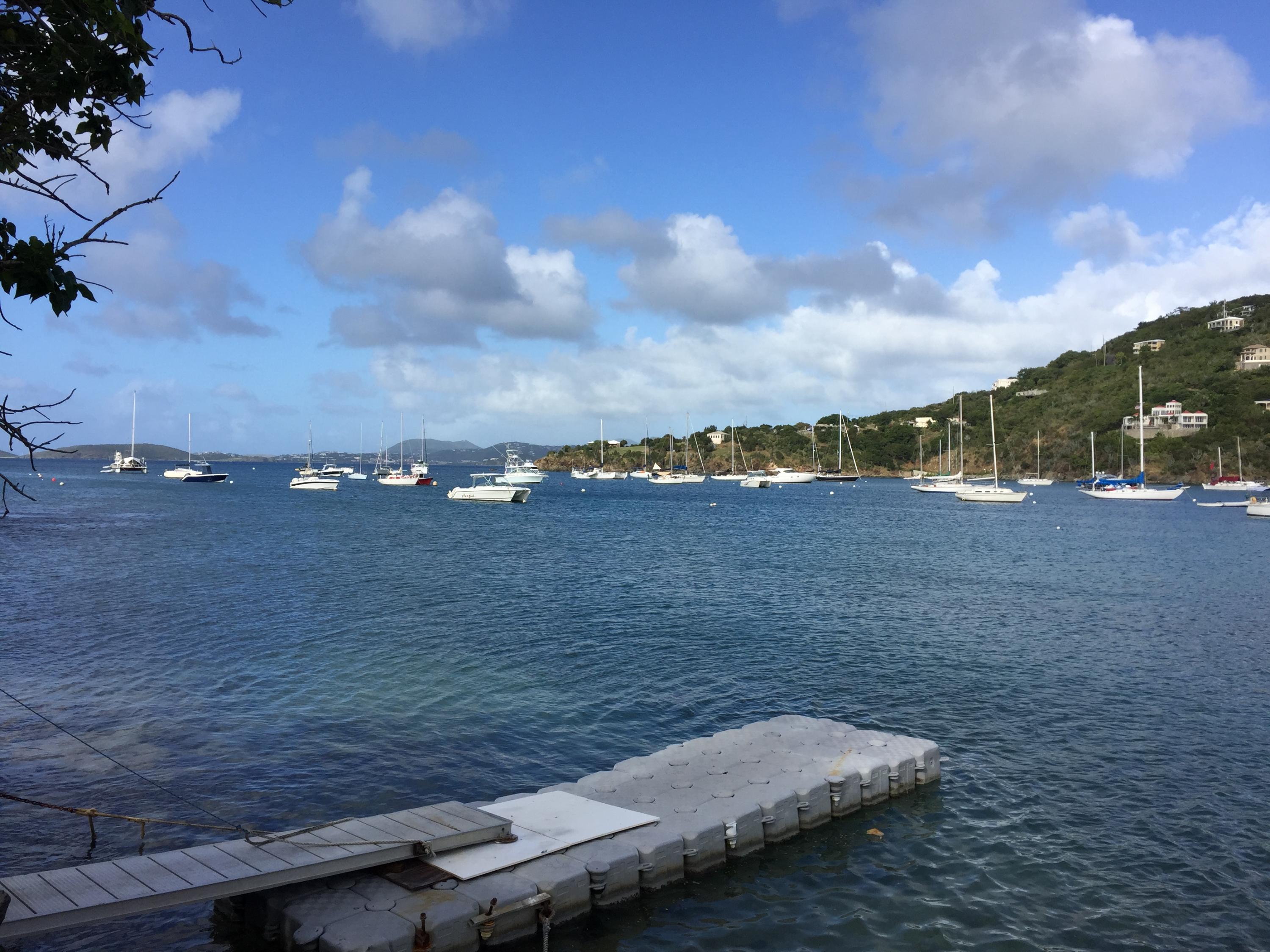 Image 15
