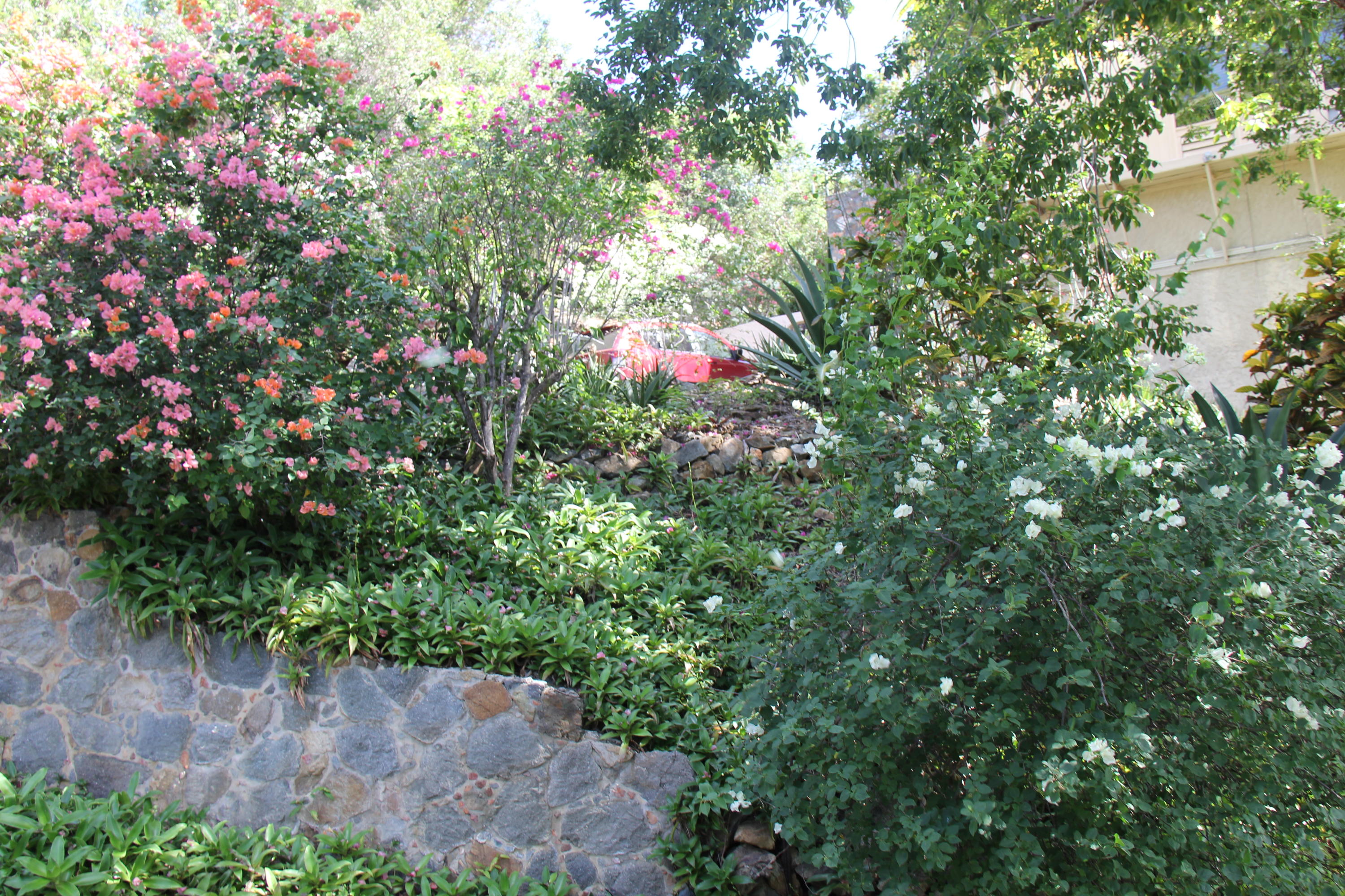 Image 11