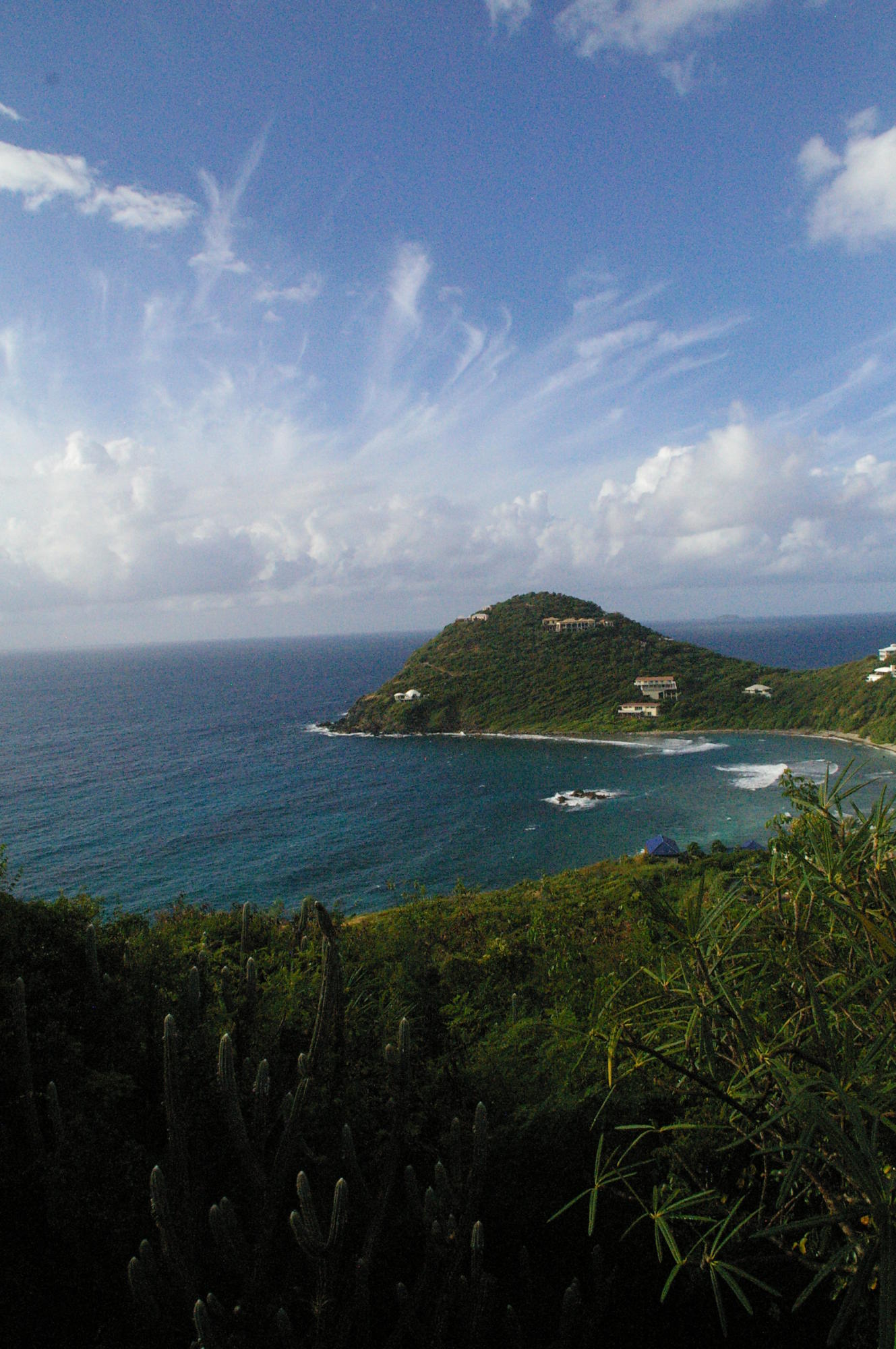 Image 19